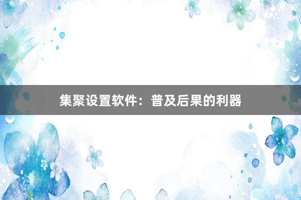集聚设置软件：普及后果的利器